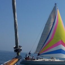 Chrisoyla And Harris