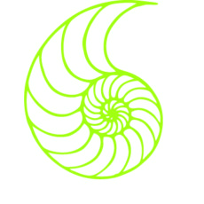 Nautilus