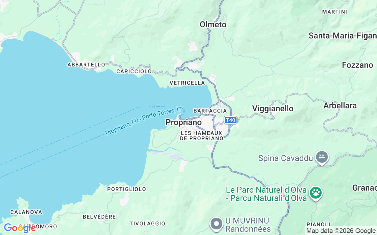 Emplacement du Semi-rigide: Port De Propriano (Portu Valincu), Propriano