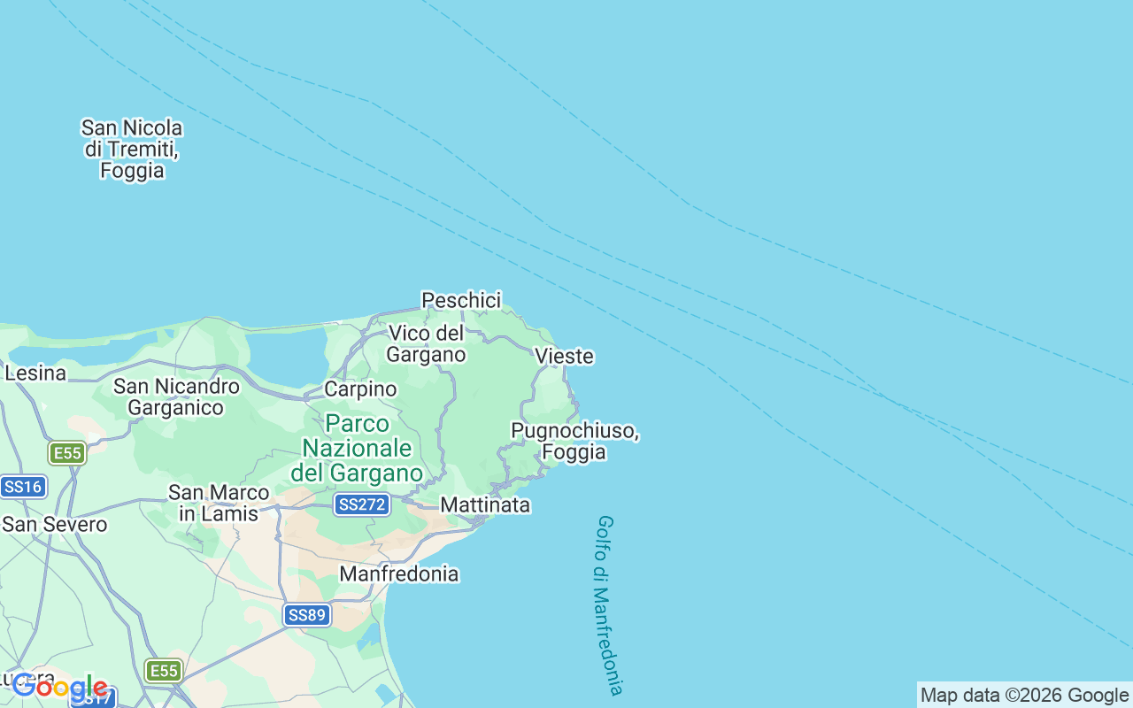 De locatie van RIB: Vieste, 71019 Vieste