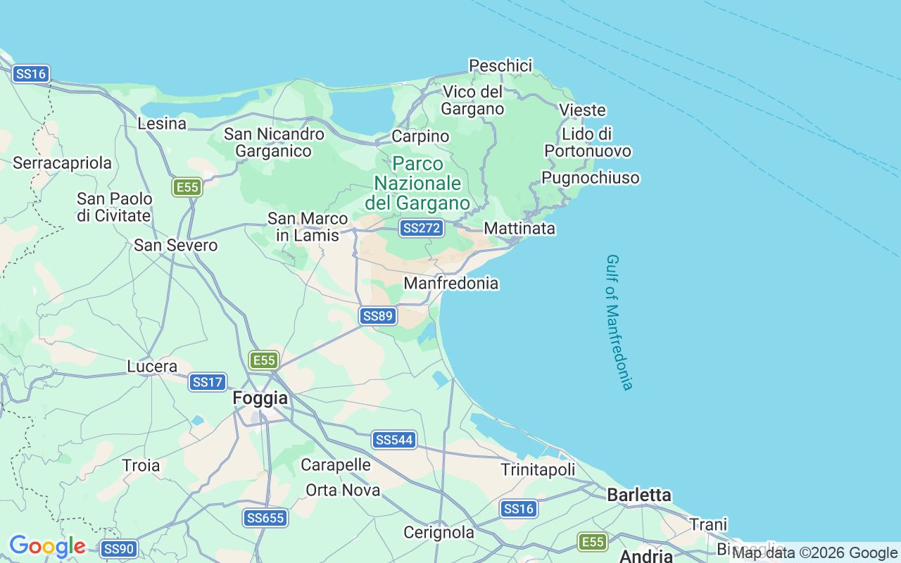 Location of the RIB: Marina Del Gargano, 71043 Manfredonia
