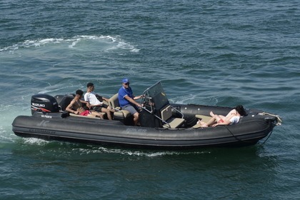 Hire RIB Joker Boat Clubman 24 Arradon