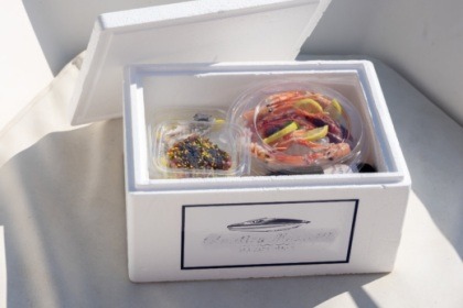 Charter Boat without licence  Busco Busco Tortoreto Lido