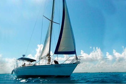 Noleggio Barca a vela Ketch 40 Cancún