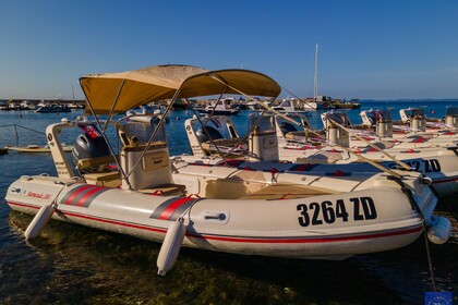 Aluguel Semi Rígido BARRACUDA 530 Vir