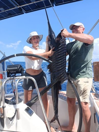 Le Marin Sailboat Dehler 47 alt tag text