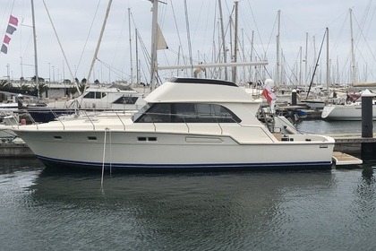 Charter Motorboat Bertram 54 Valencia Mar