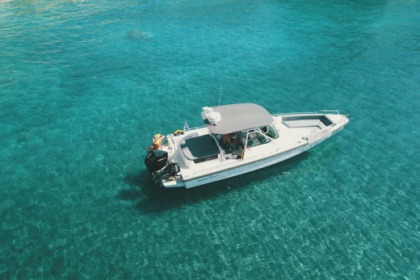 Miete Motorboot Axopar 28 T-top Naxos