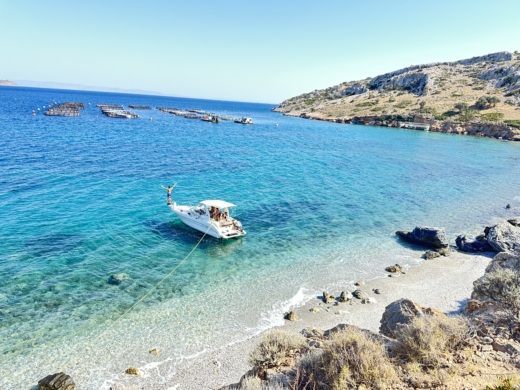 Motorboat Sea Ray 250 SUNDANCER Boat design plan