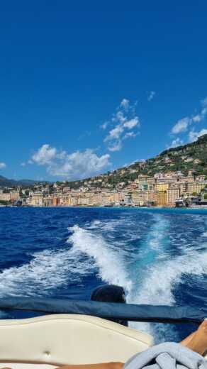 Genua Without license Capelli Tempest 570 alt tag text