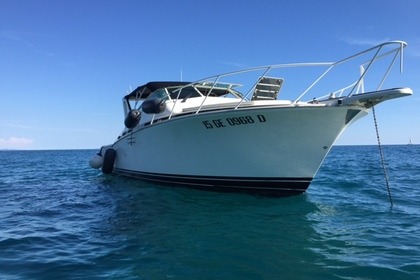 Noleggio Barca a motore Bertram 38 Special Punta Ala