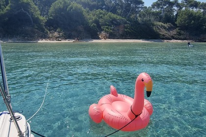 Charter Motorboat Four Winns 258 La Londe-les-Maures