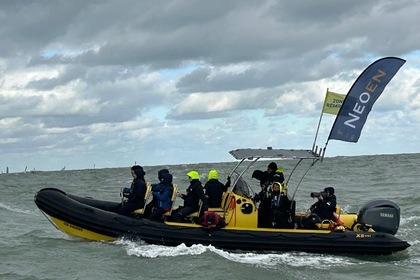 Rental RIB xsribs xs800 Granville