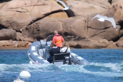 Location Semi-rigide VALIANT 500 SPORT Trébeurden