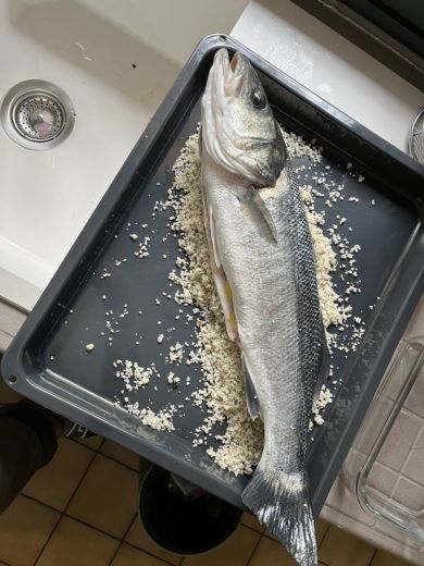 La Forêt-Fouesnant Motorboat CAP FERRET B2 Marine 500 alt tag text