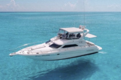 Noleggio Barca a motore Sea Ray Flybridge 13m Cancún