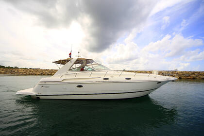 Hire Motor yacht Sea Ray 40 La Romana