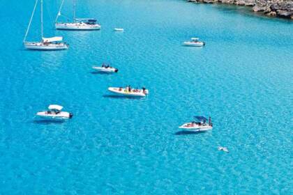 Noleggio Gommone Alson 750 Partenza da Favignana Favignana
