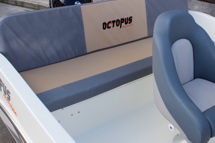 Alquiler Barco sin licencia  Octopus Octopus 470 Manilva