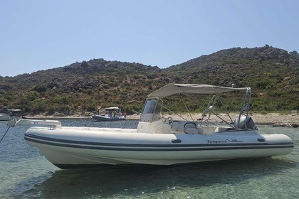 Hire RIB Capelli 775 Saint-Florent