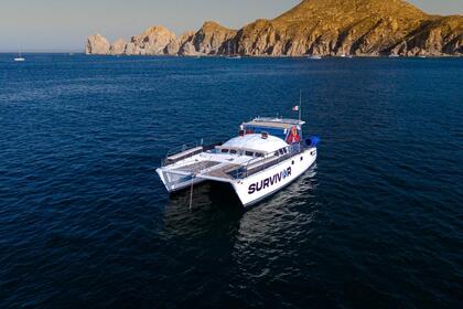 Alquiler Catamarán Catamaran 1977 Cabo San Lucas