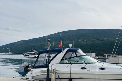 Charter Motorboat Sea Ray 400 Sun Sport Herceg Novi