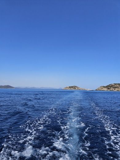 Crabonaxa Without license Bwa 550 alt tag text