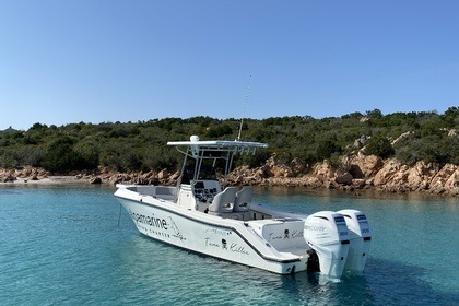 Noleggio Barca a motore Mako marine 252 Porto Rotondo