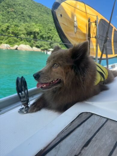 Ubatuba Sailboat Delta Delta 45 alt tag text