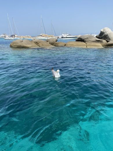 Porto-Vecchio RIB MASTERSAS TECHNOBAT SRL MASTER 630 OPEN alt tag text