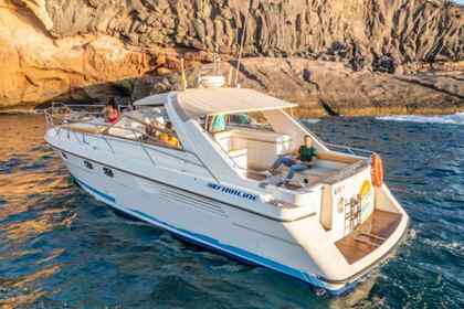 Alquiler Lancha Fairline Targa 42 - 14 mètres Mandelieu-la-Napoule