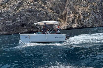 Aluguel Barco sem licença  Falon (Sin licencia) Altea