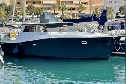 Charter Motorboat Viking 40 Estepona