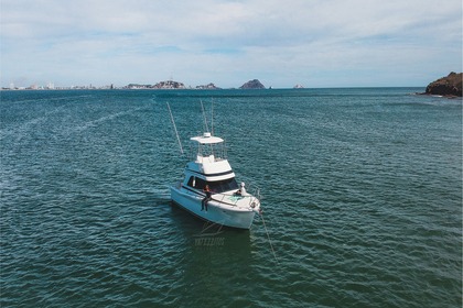 Rental Motorboat Riviera 360 Flybridge Mazatlán