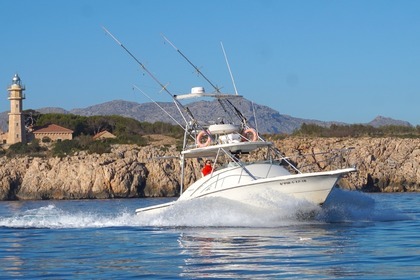 Miete Motorboot PURSUIT OFFSHORE 3000 Port de Pollença