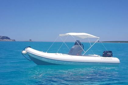 Noleggio Barca senza patente  FOCCHI 510 SPORT Golfo Aranci