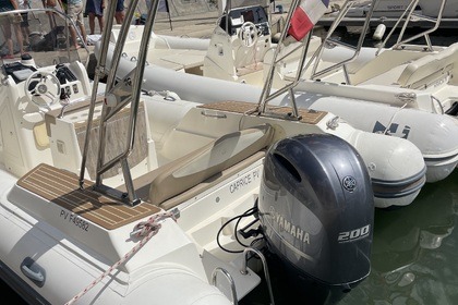 Location Semi-rigide Capelli Tempest 700 Argelès-sur-Mer