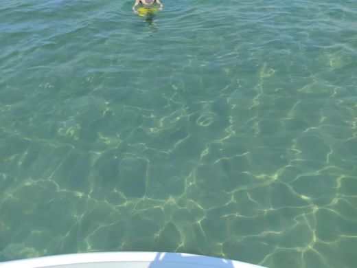 Mesongi Without license Nefeli 2016 alt tag text