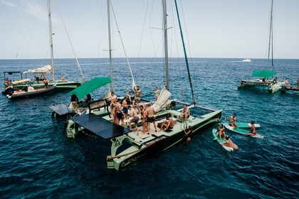 vava yacht in malaga