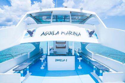 Alquiler Catamarán CATAMARAN 60 POWER CAT 60 Los Melones