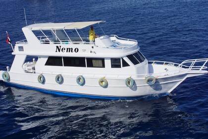Rental Motor yacht Private Ras Mohamed 1 to 10 Shipyard Customised Sharm El-Sheikh