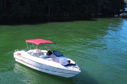 Alquiler Lancha Cobra Cayman Pôrto Belo