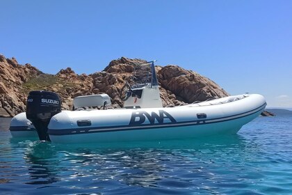 Rental Boat without license  Bwa 550 Olbia