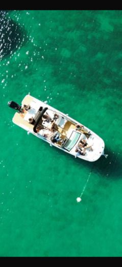 Motorboat Sea Ray 250 SDX Boot Grundriss