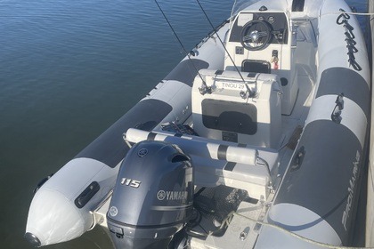 Rental RIB Pro Marine Manta 550 Arradon