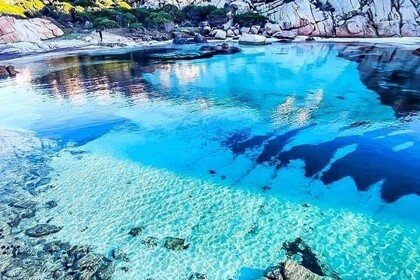 Charter RIB Original Marine Original 580 La Maddalena