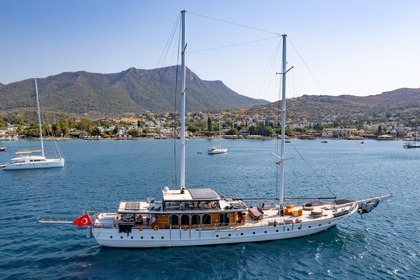 Noleggio Caicco Custom Made Custom Made Bodrum