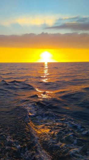 Lignano Sabbiadoro Sailboat Dufour Dufour 445 Grand Large alt tag text