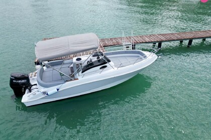 Miete Motorboot Marinello EDEN 26 Sirmione