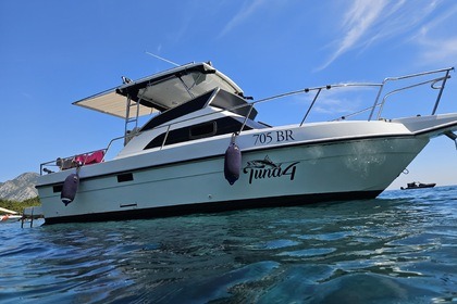 Charter Motorboat King Fisher 750 Bar